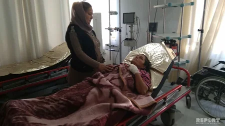Lənkəranda yırtıcı heyvanlar sakinlərə hücum edib, 4 nəfər yaralanıb - FOTO - YENİLƏNİB