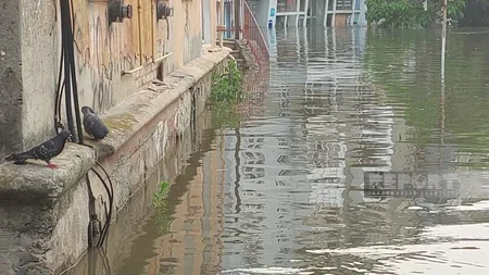 Su altında qalan Xerson - FOTOREPORTAJ