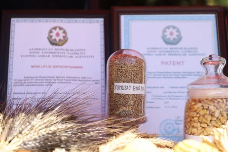 Qazaxda Aqrar Biznes Festivalı keçirilib