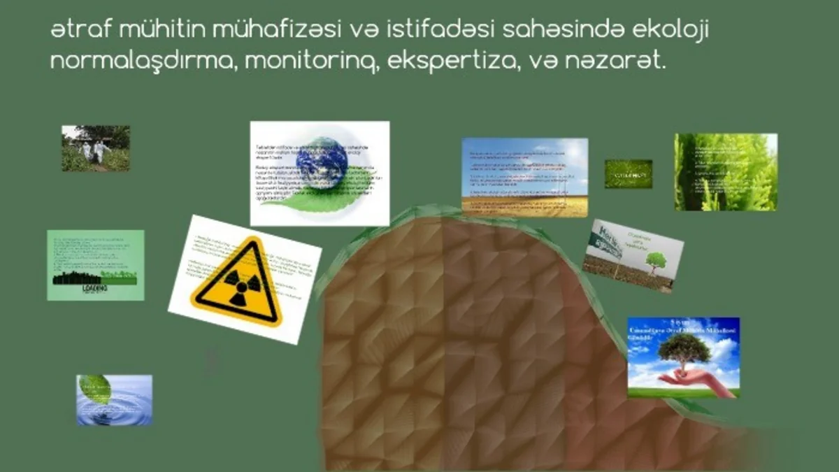 Dövlət və ictimai ekoloji ekspertizanın həyata keçirilməsi qaydası təsdiqləndi