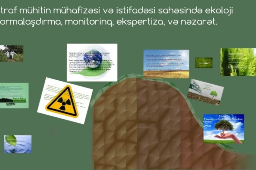 Dövlət və ictimai ekoloji ekspertizanın həyata keçirilməsi qaydası təsdiqləndi