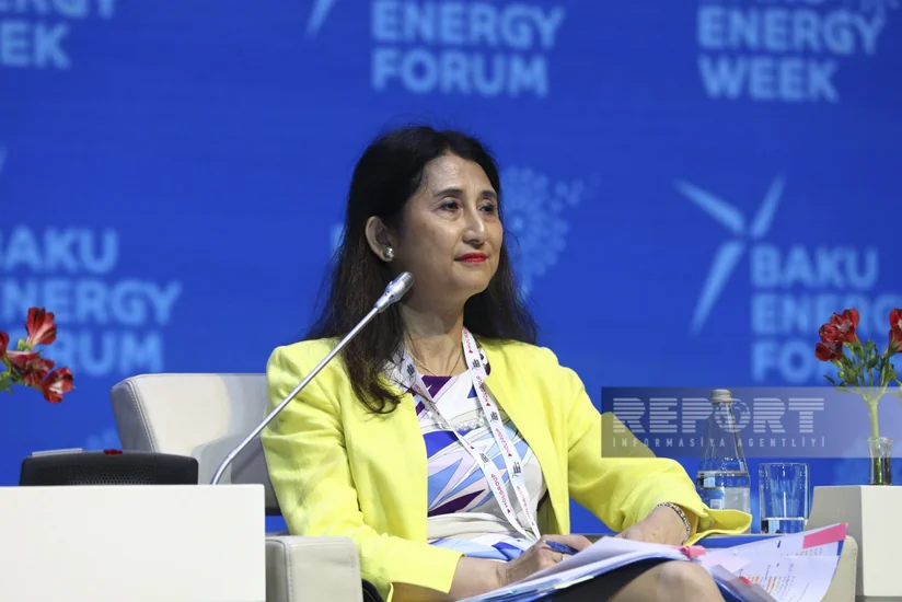 Atsuko Hiroşe: “Ədalətli enerji keçidi üçün böyük investisiyalar lazımdır”