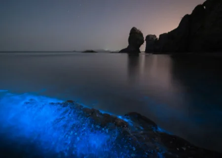 Çində dəniz mavi neon rənginə boyanıb - FOTO