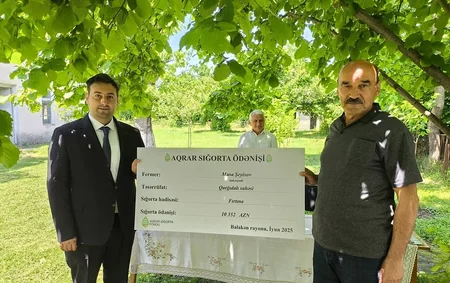 Balakən və Qaxda sahələrə dəymiş zərərə görə sığorta ödənişləri edilib