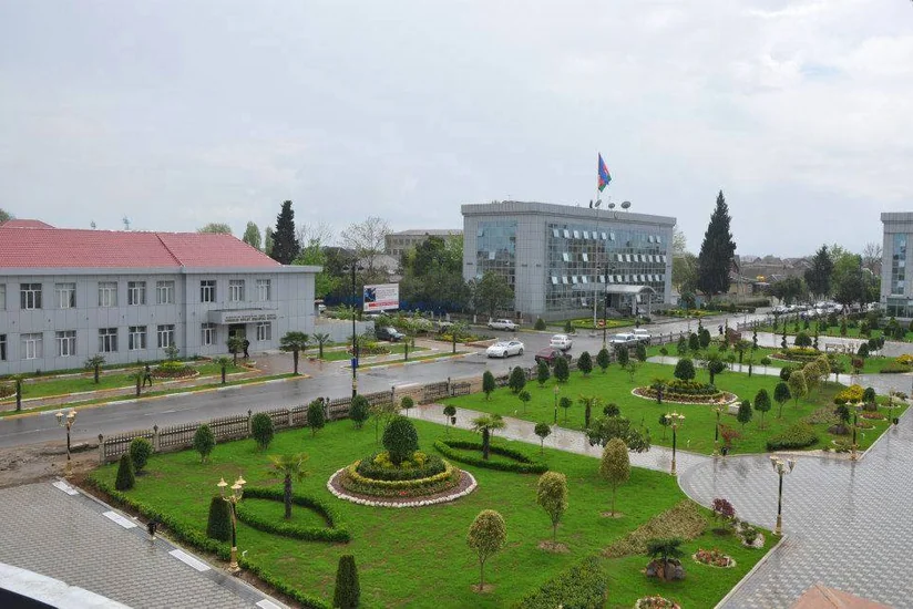 Фестиваль европейской культуры Eurovillage в этом году пройдет в Лянкаране