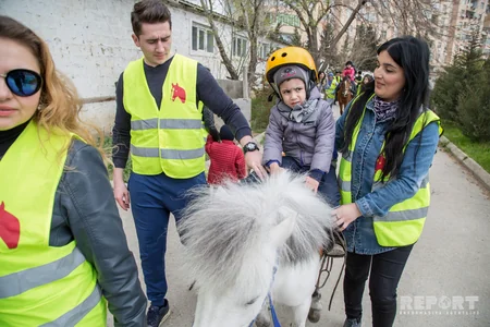 Atların müalicə etdiyi insanlar - REPORTAJ