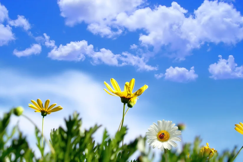 Weather forecast for next three days announced