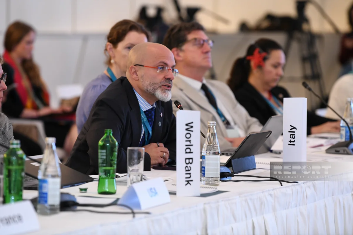 Francesco Corvaro: Italy to continue to support developing countries in climate adaptation