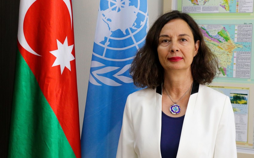 Cakmak: FAO to support value chain development in Azerbaijan