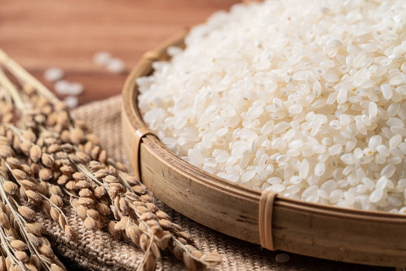 Russia extends rice export ban until June 30, 2024
