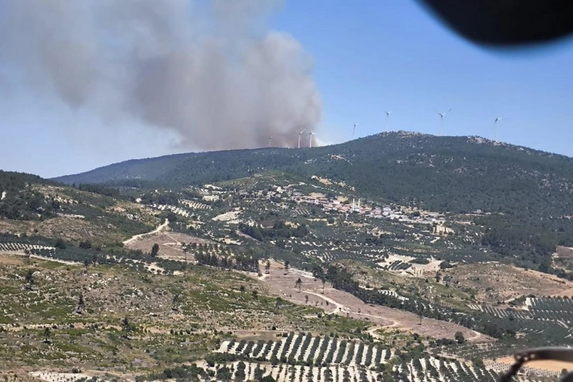 В турецкой провинции Маниса начался лесной пожар