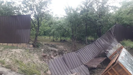 Qaçqınkom: Sel Goranboyda 306 məcburi köçkünün evinə ziyan vurub