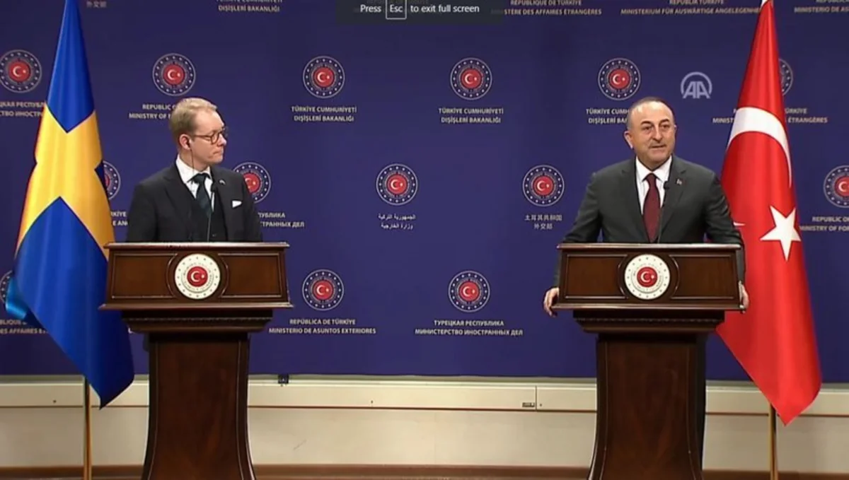 Turkish, Swedish FMs mull situation in South Caucasus