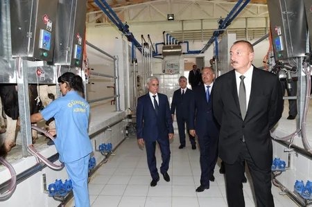 Prezident İlham Əliyev Cəlilabadda “Günəşli-Aqro” MMC-nin aqroparkında yaradılan şəraitlə tanış olub