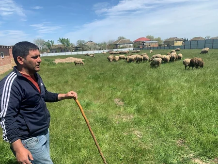 Bu il Avropadan 1 367 nəfər könüllü şəkildə Azərbaycana qayıdıb