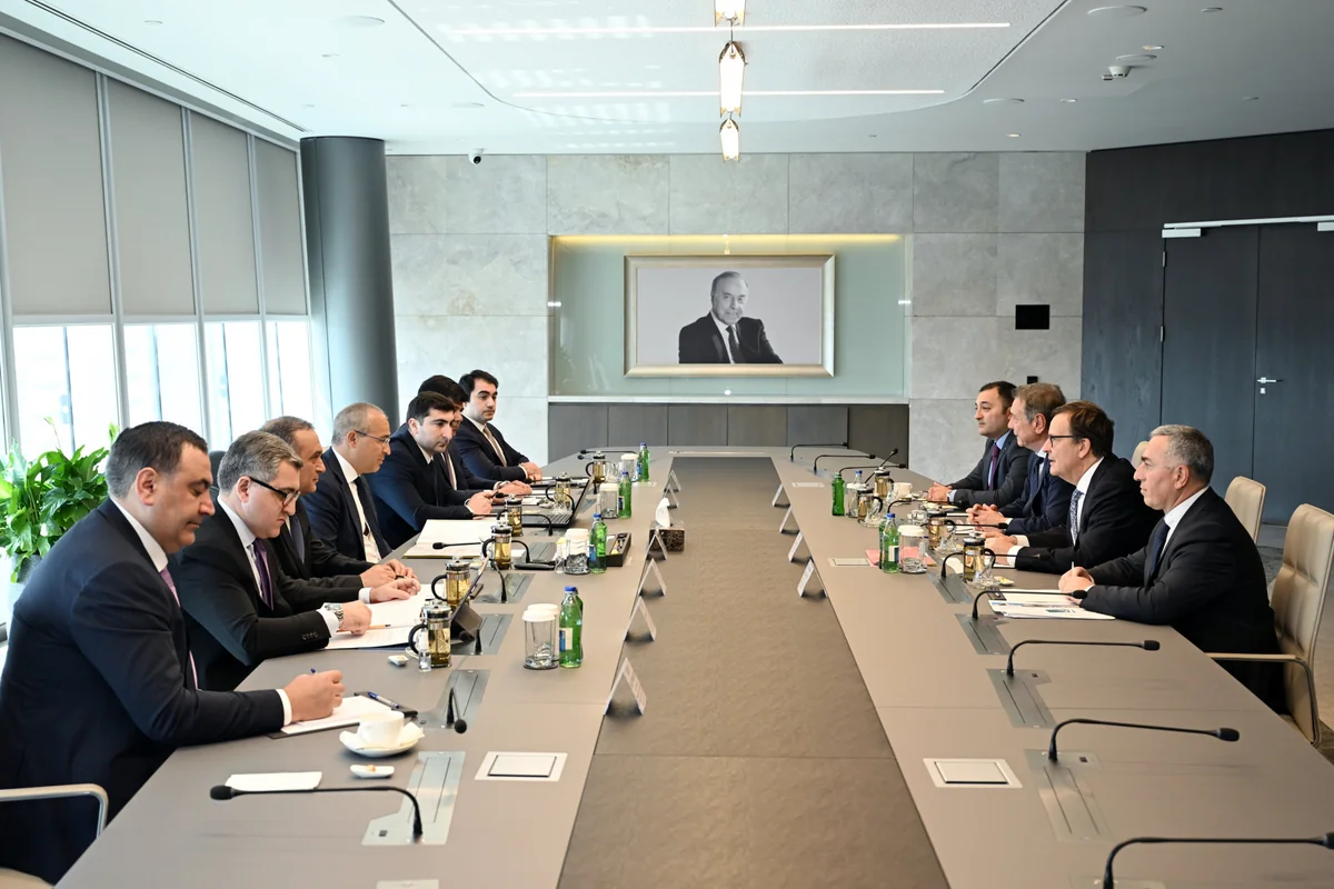 Investment opportunities in Azerbaijan discussed with Japanese manufacturer