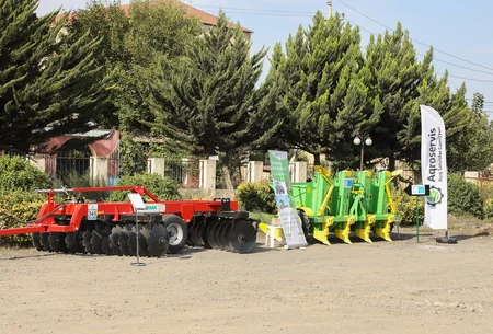 Cəlilabadda “Kartofçuluq üzrə toxum, texnika sərgi-satış yarmarkası” keçirilib