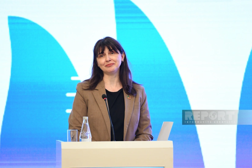 UN resident coordinator: Financial and human resources for social security should be increased