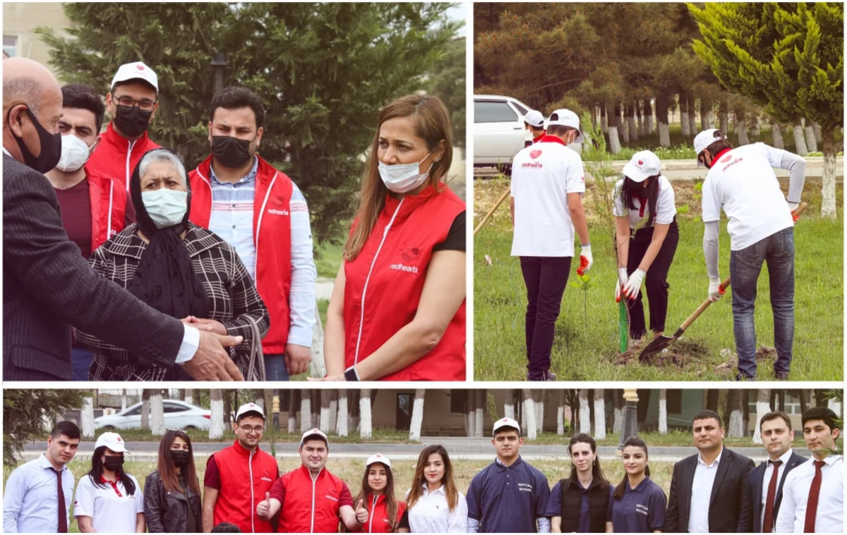 Daha bir neçə rayonda “Vətən Bağı” yaradılıb