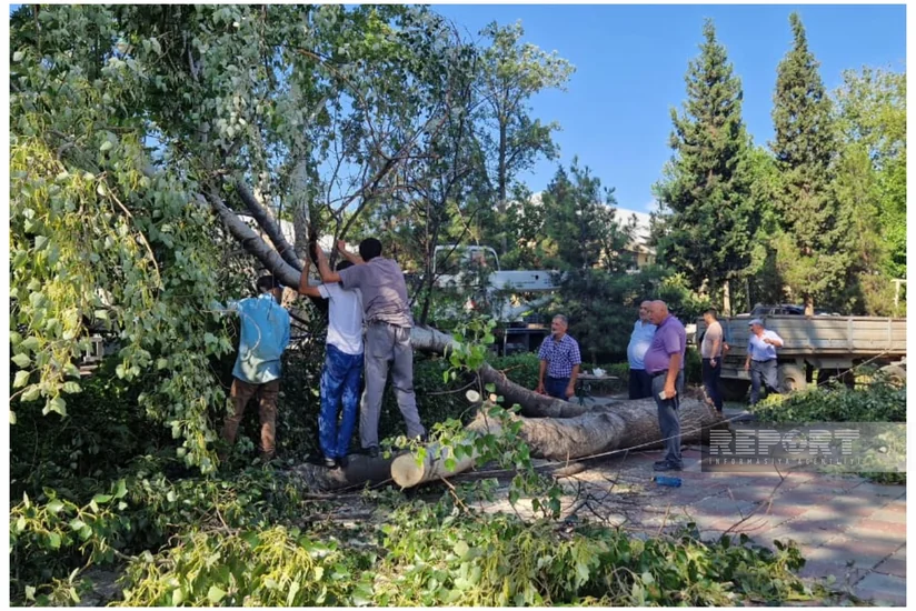 Tərtərdə qasırğanın fəsadları aradan qaldırılır