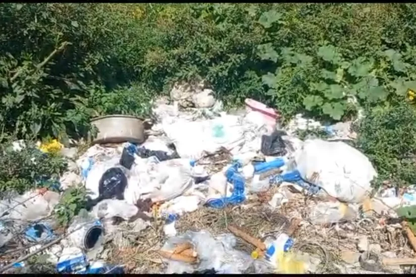 В Балакяне оштрафованы должностные лица