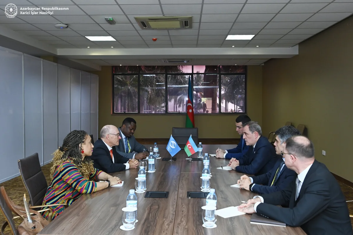 Azerbaijani foreign minister meets with CTBTO executive secretary