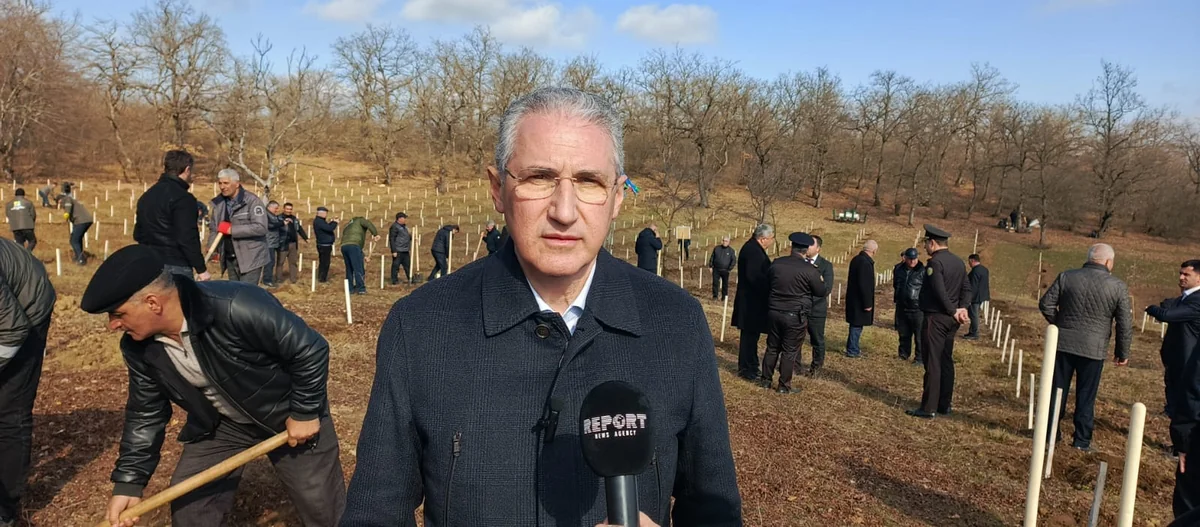Muxtar Babayev: Azərbaycanda ötən il 8 milyondan çox ağac əkilib