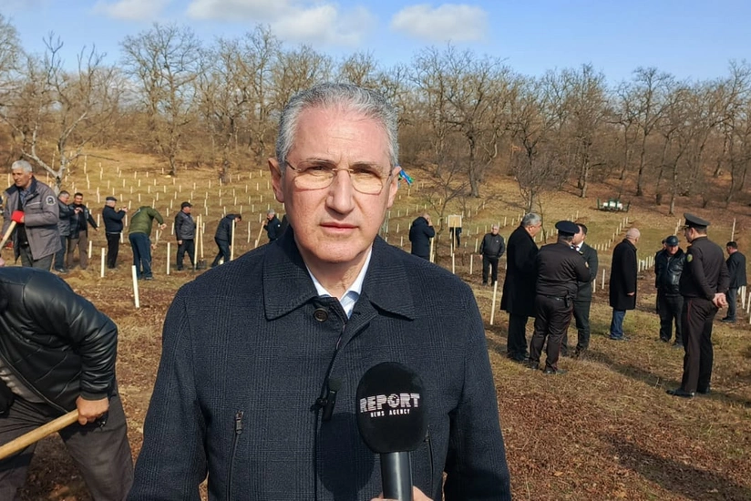 Mukhtar Babayev: More than 8 million trees planted in Azerbaijan last year