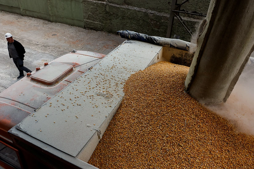 Kyiv holding online talks with partners on grain export deal extension