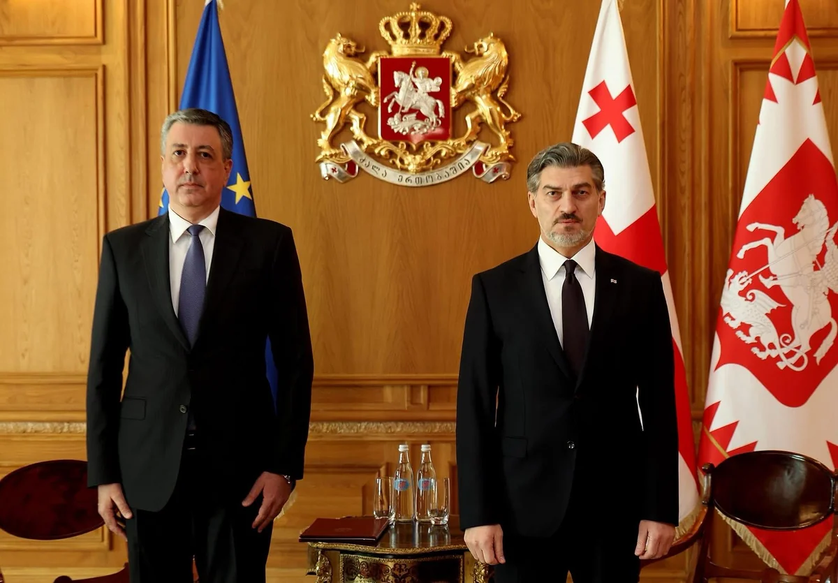 Gürcüstan Prezidenti Azərbaycanın Tbilisidəki səfiri ilə strateji tərəfdaşlığı müzakirə edib