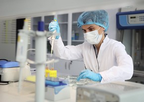 Gürcüstanın baş epidemioloqu: Qaracalar sakinləri koronavirusa inanmırlar