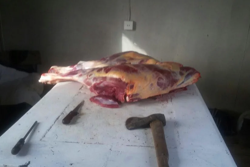 Bərdənin Qasımbəyli kəndində at əti aşkarlanıb