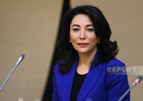Ombudsman: Our cooperation with Council of Europe continues