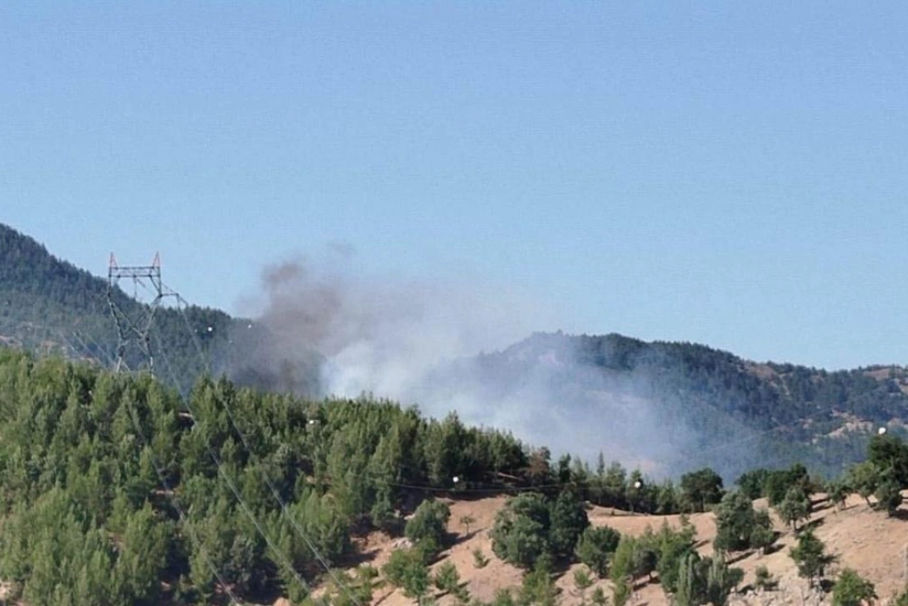 Türkiyədə meşə yanğınına müdaxilə edən helikopter suya düşüb