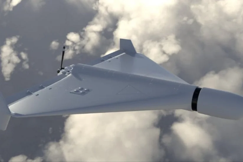 Suriya ordusunun PUA-ları 10 terrorçunu zərərsizləşdirib