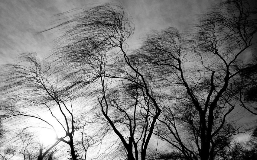 Strong wind to keep blowing in Azerbaijan - WARNING