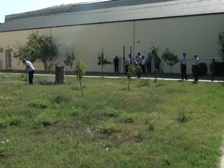 Salyanda 7 kiloqramdan çox narkotik vasitə yandırılaraq məhv edilib