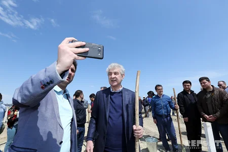 YAP Bakıda ağacəkmə aksiyası keçirib
