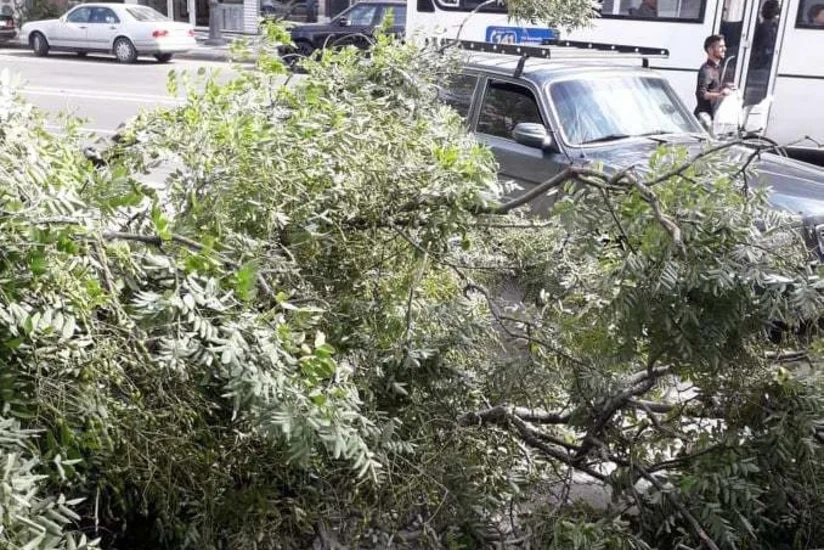 В Баку сильный ветер привел к нежелательным последствиям - ФОТО