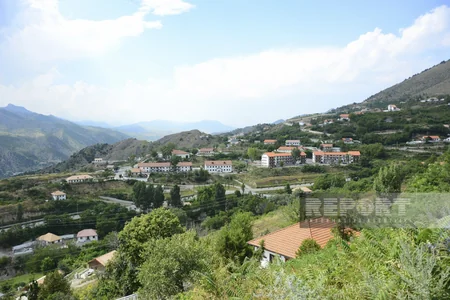 Laçına həyat qayıdır - REPORTAJ