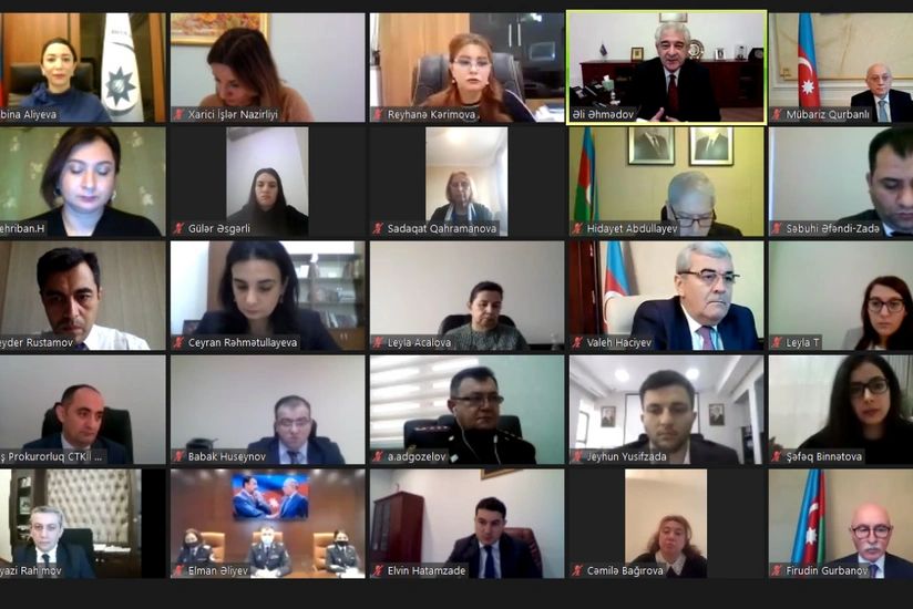 Ombudsman məişət zorakılığı və uşaq hüquqlarına dair videokonfransda çıxış edib
