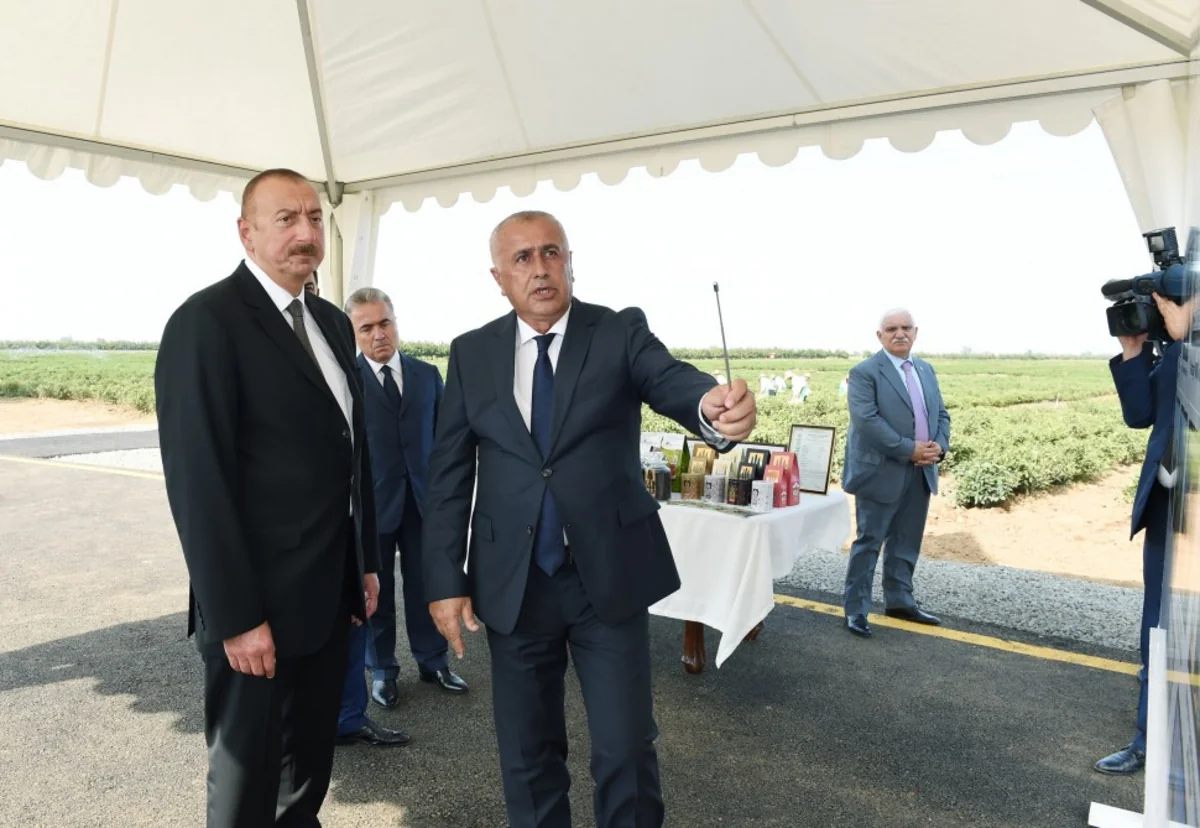 Prezident İlham Əliyev Lənkəranda “Astara Çay” MMC-nin çay plantasiyalarına baxıb