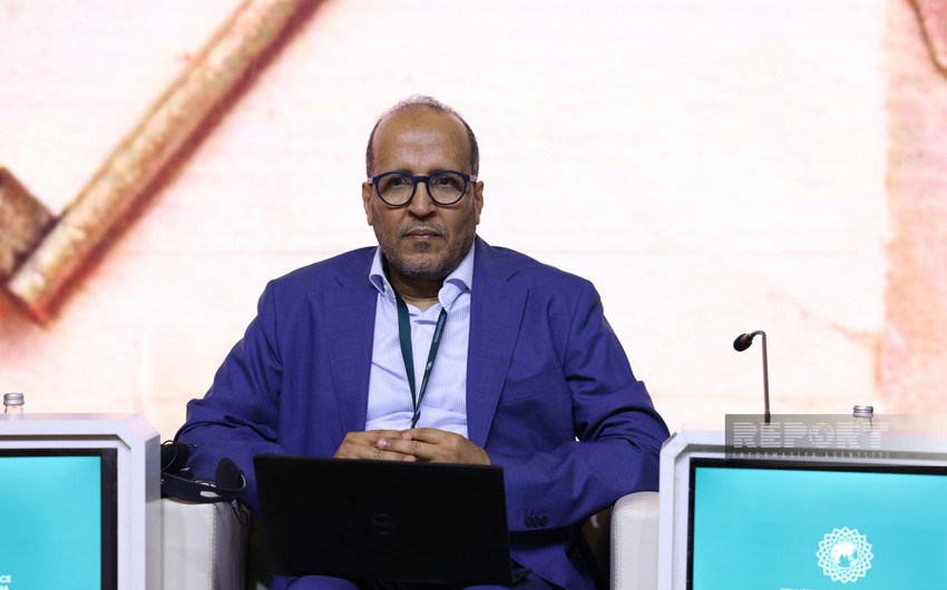 Mohammed Mukhtar Al-Khalil: AI should not be source of stereotypes, discrimination