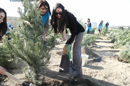 Tree-planting campaign held in Baku