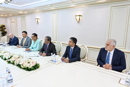 Milli Məclis Parlamentlərarası İttifaq ilə birgə iclas keçirə bilər