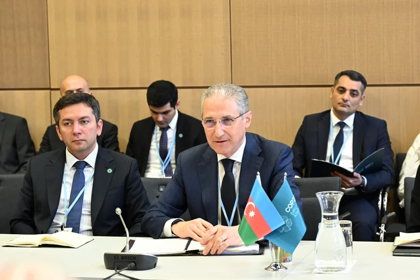 COP29-un prezidenti və UNFCCC-nin icraçı katibi iqlim dəyişikliyi ilə mübarizə strategiyalarını müzakirə ediblər