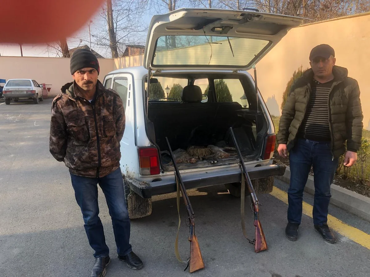 İsmayıllıda qanunsuz ov edən şəxslər saxlanılıblar