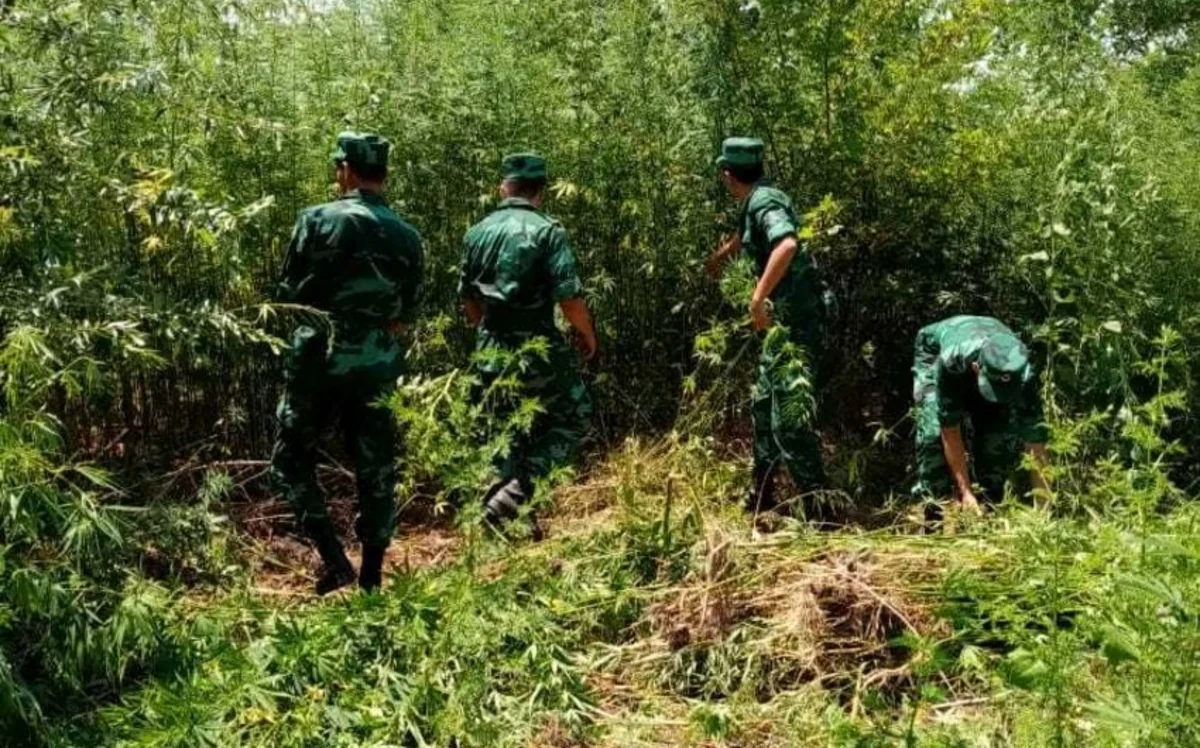 Во время Отечественной войны иранские военные на территории Азербайджана пытались затормозить продвижение наших войск