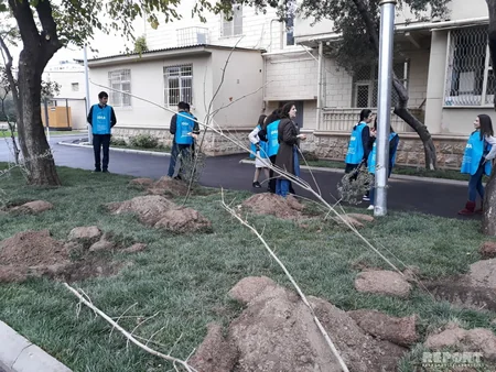 BŞİH: Bakının bütün rayonlarında abadlaşdırma işləri davam etdirilir