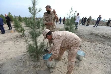 Представители дипкорпуса посадили деревья в Тертере